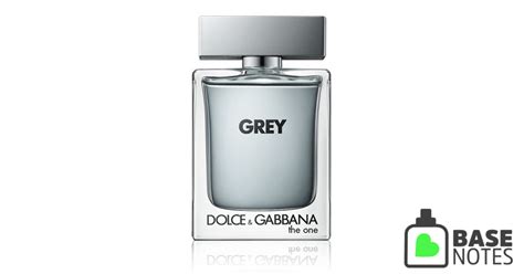 dolce gabbana the one grey basenotes